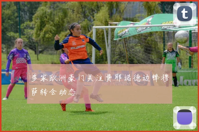 多家欧洲豪门关注费耶诺德边锋穆萨转会动态