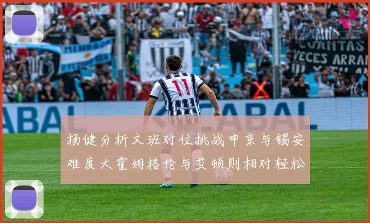 杨健分析文班对位挑战申京与锡安难度大霍姆格伦与艾顿则相对轻松