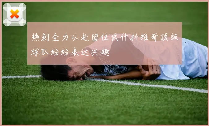 热刺全力以赴留住武什科维奇顶级球队纷纷表达兴趣