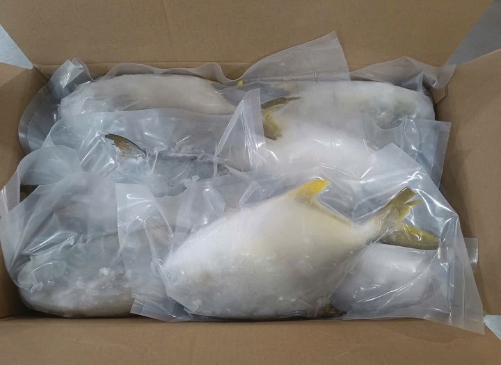 Ưu nhược điểm bao bì hải sản trong suốt trong bảo quản trưng bày