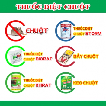 Các thành phần chất độc trong thuốc diệt chuột bạn nên biết - Nấu ăn ngon