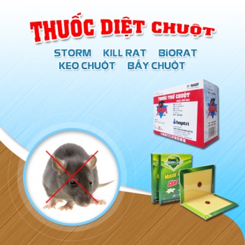 Diệt chuột an toàn với Biorat mà không lo sợ bị ngộ độc - Nấu ăn ngon