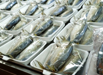 So sánh chi tiết bao bì PE và PP trong bảo quản hải sản đông lạnh - Nấu ăn ngon